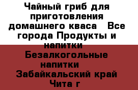 Чайный гриб для приготовления домашнего кваса - Все города Продукты и напитки » Безалкогольные напитки   . Забайкальский край,Чита г.